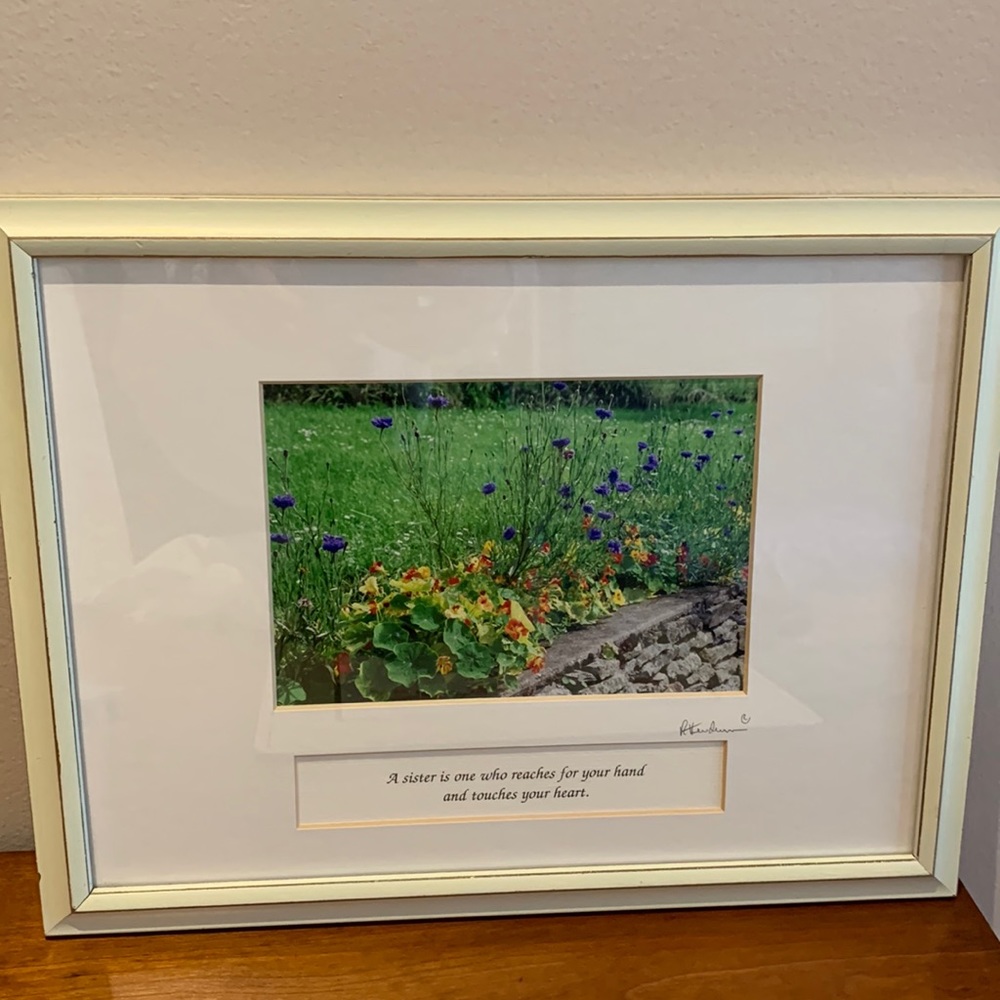 Framed flowers photo